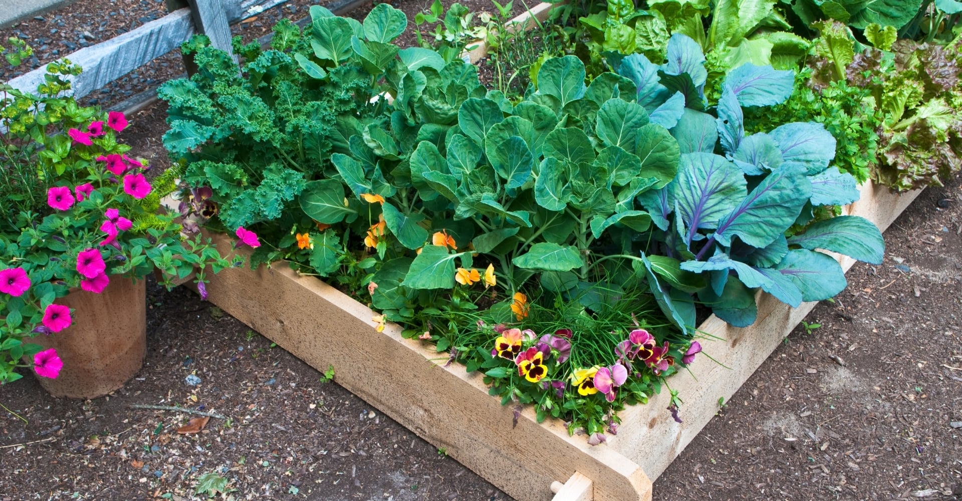 How to build a raised garden bed in a day