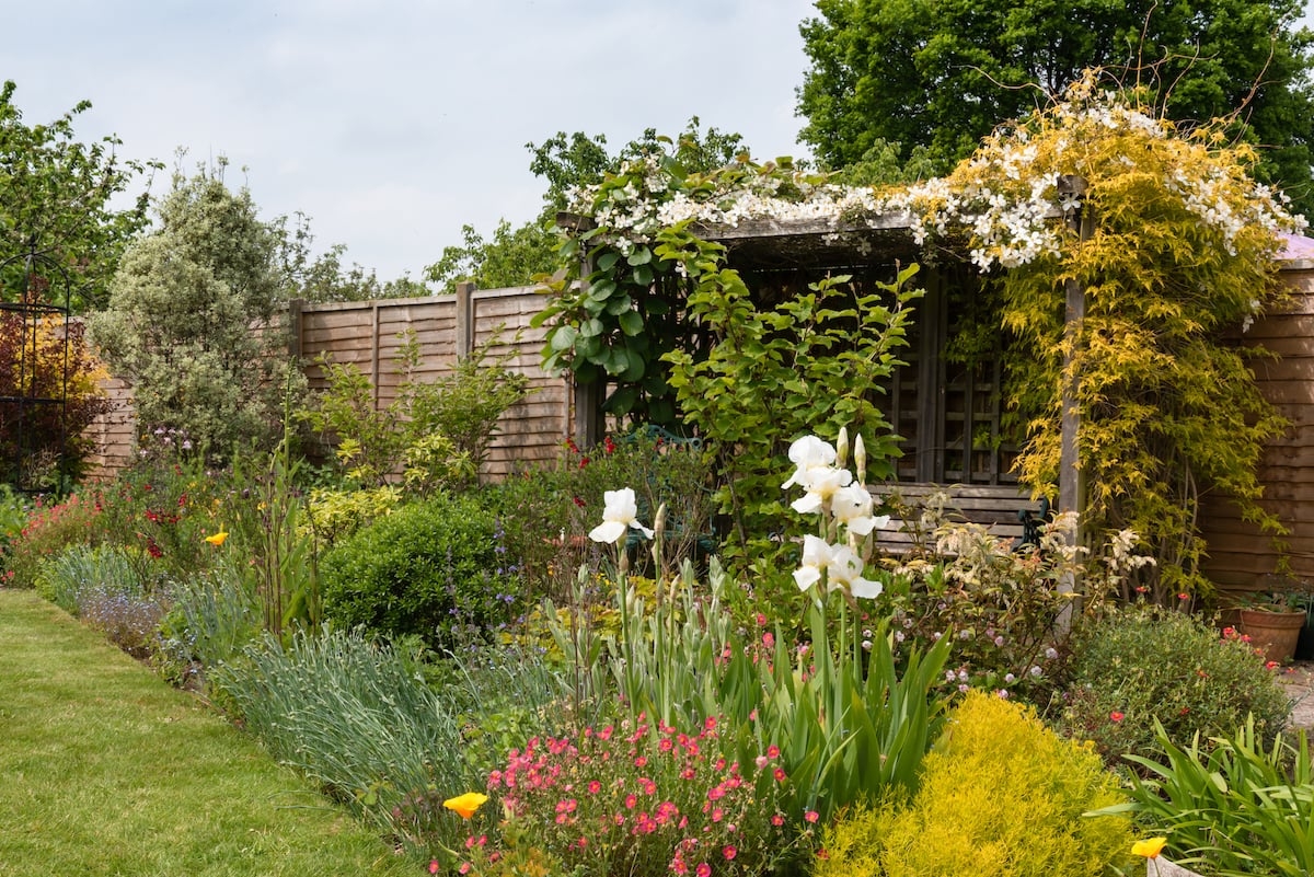 Wildlife friendly garden