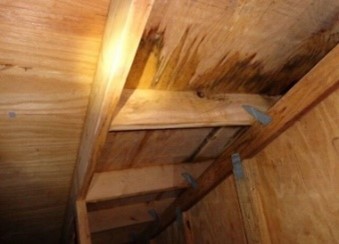 Leaking Roof