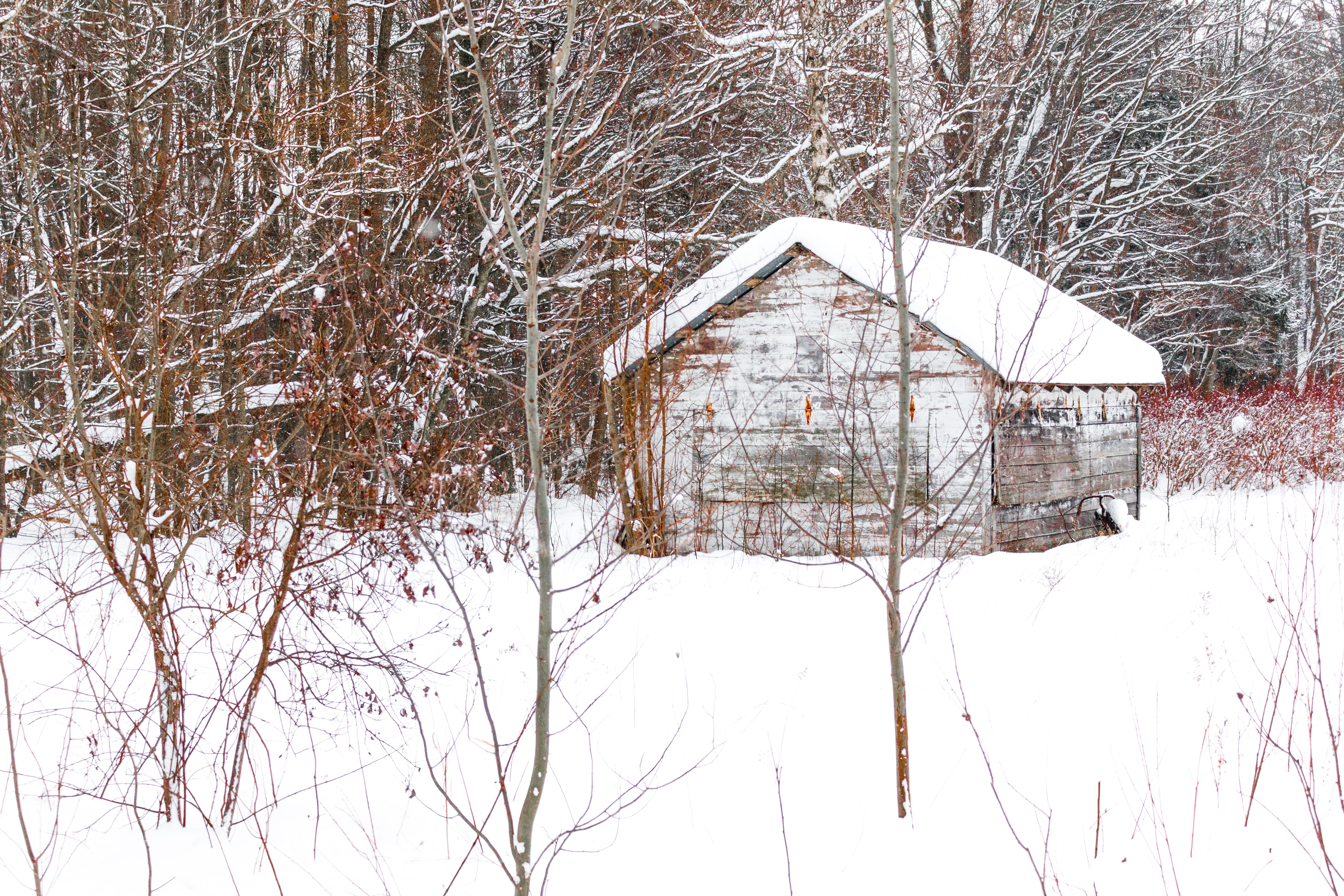 shed with snow