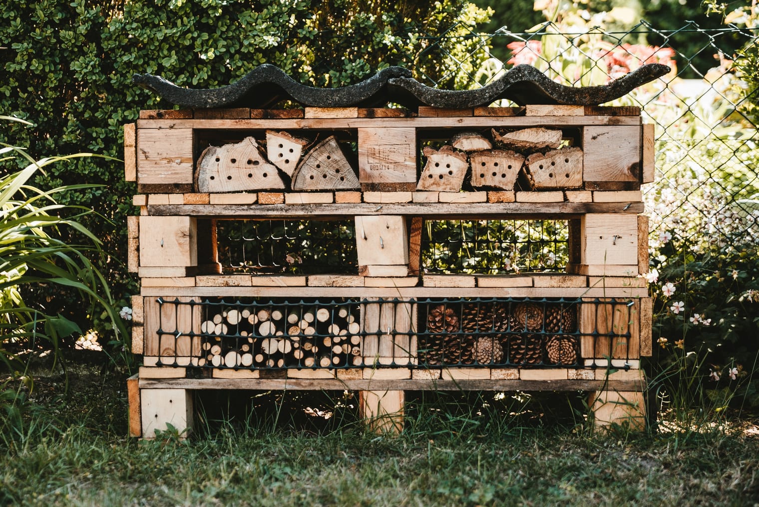 bug hotel