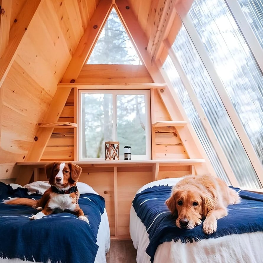 cabin with onduclair
