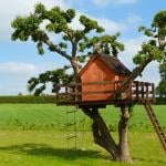 Treehouse