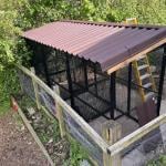 Pet Home