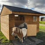 Pony Stable