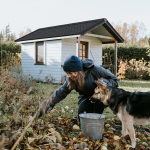 INNOLINE® Black Garden Shed