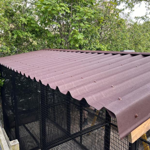 Animal Enclosure