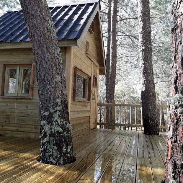 Wood Cabin