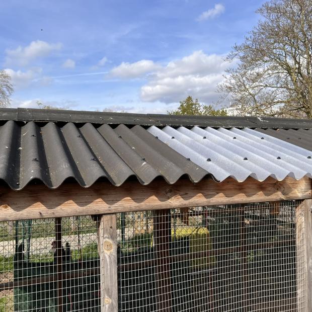 Animal Shelter