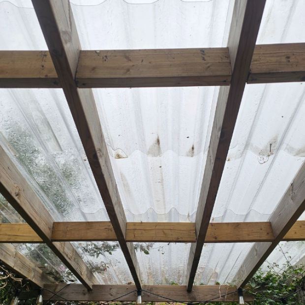 Pergola