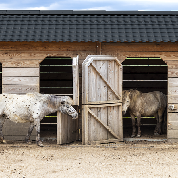 INNOLINE® Anthracite Grey Stable
