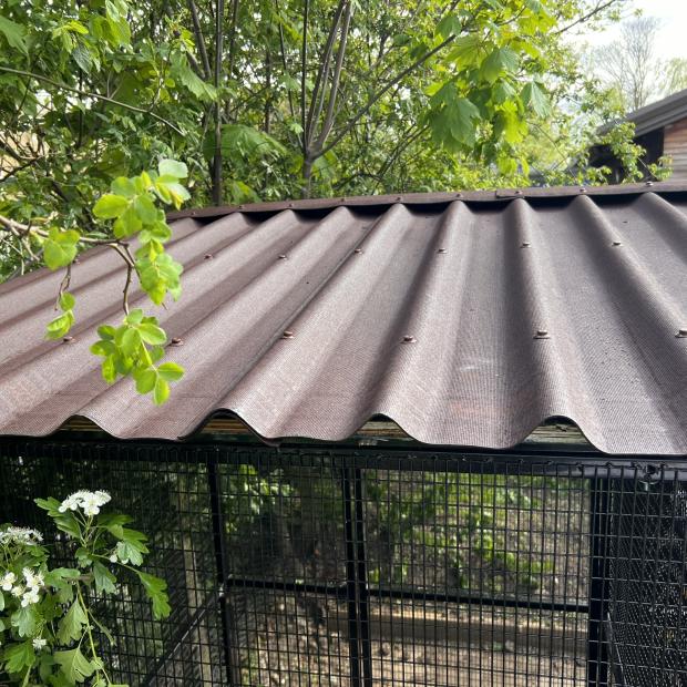 Flat and Corrugated roof sheet