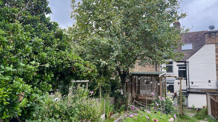 Kelly's pergola featuring ONDULINE CLASSIC in green
