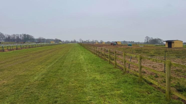 Onduline Classic Keeping horses protected