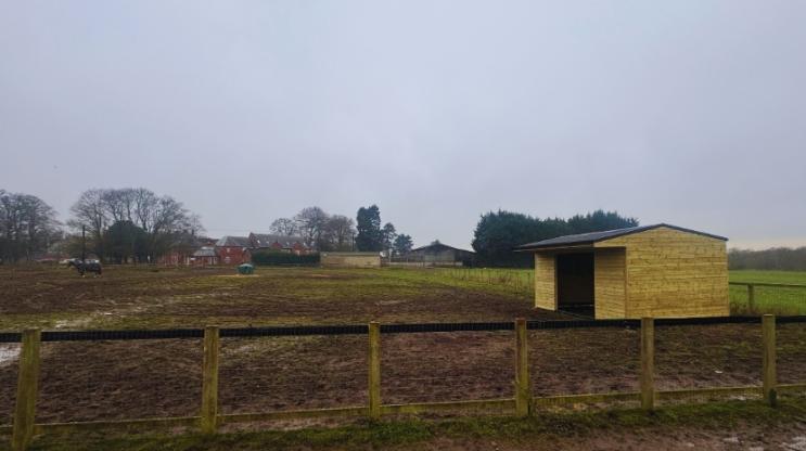 Onduline Classic Keeping horses protected