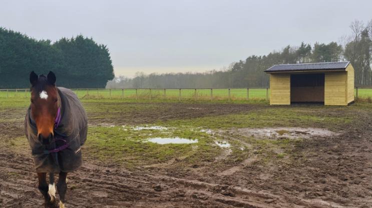 Onduline Classic Keeping horses protected