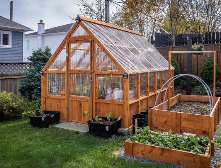 Timber greenhouse in garden made with Onduline ONDUCLAIR sheets