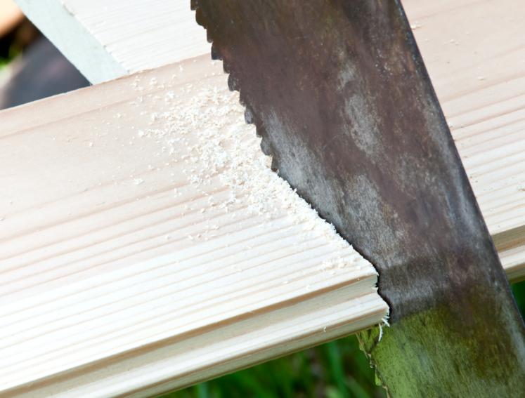 Saw cutting timber