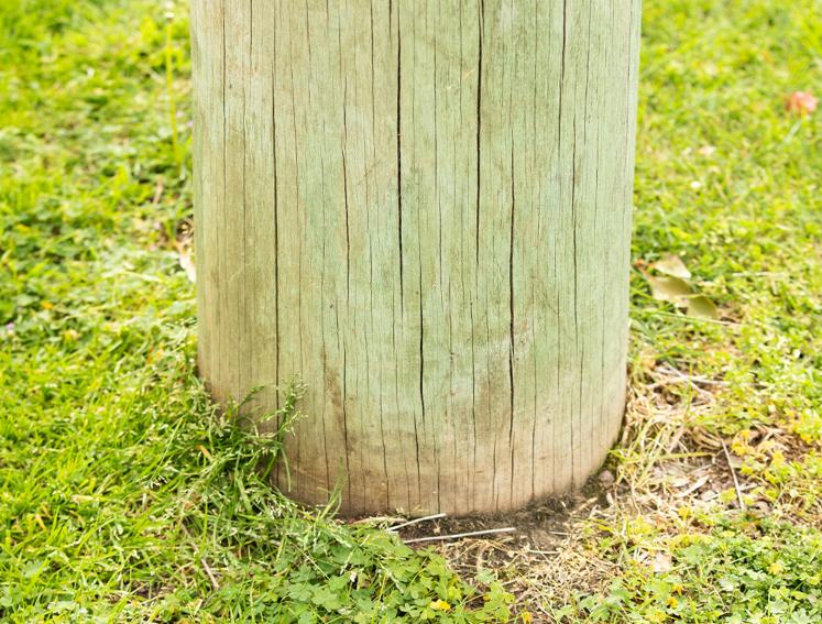 Wooden post