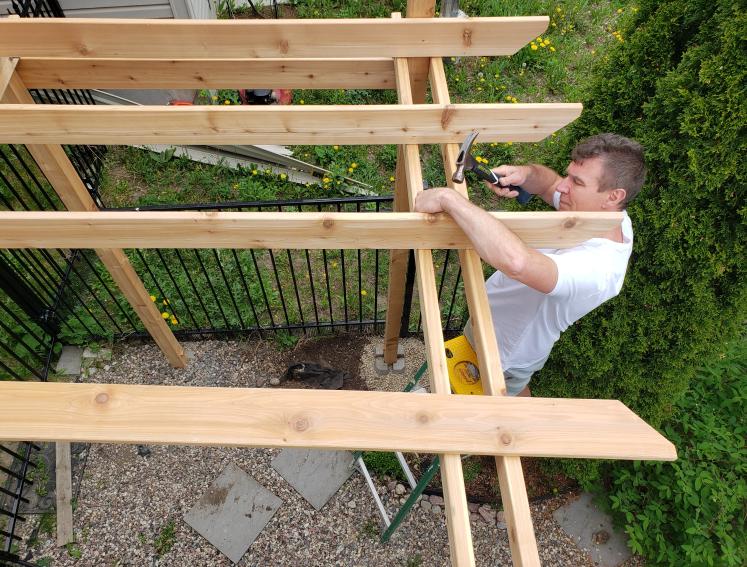 Pergola frame