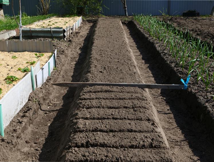 A garden bed being prepared
