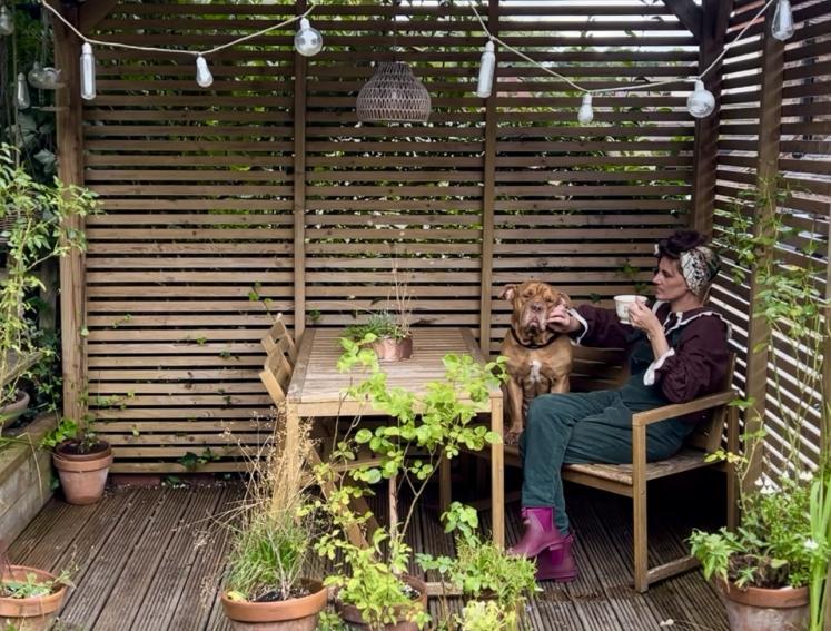 @ourdaleyhome's pergola featuring Onduline roofing sheets
