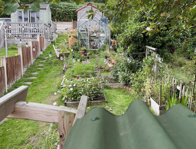 Garden pergola featuring Onduline roofing sheets