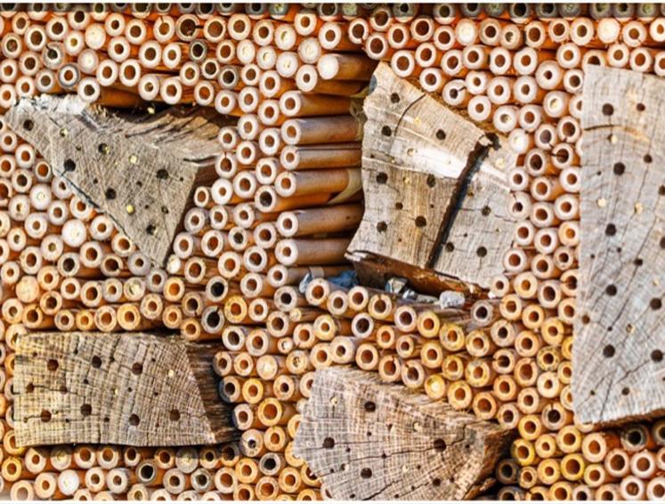A bug hotel
