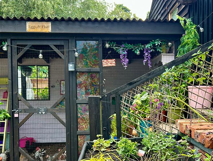 Chicken coop featuring ONDULINE CLASSIC roofing sheets