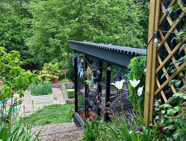 Chicken coop featuring ONDULINE CLASSIC roofing sheets