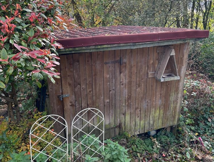 ONDULINE CLASSIC on an tool shed