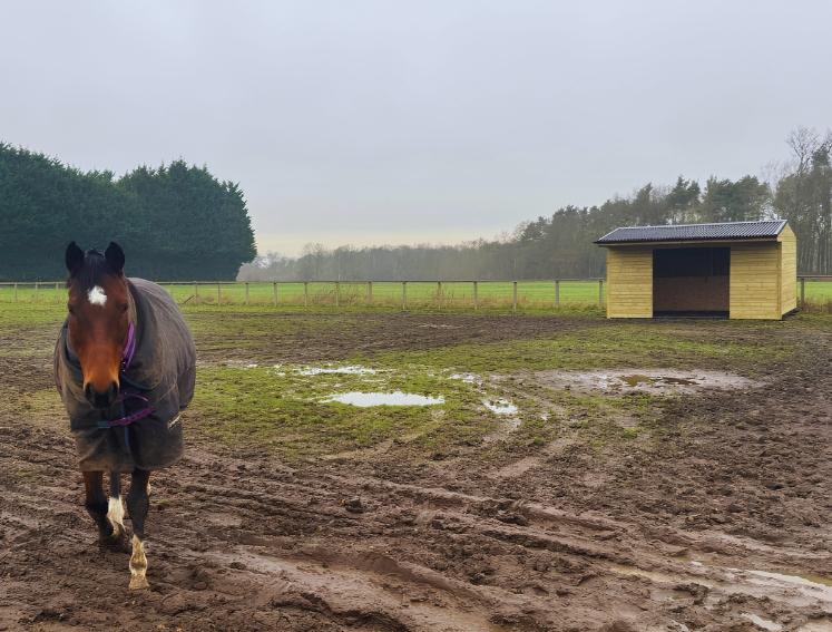 ONDULINE CLASSIC sheets used on horse field shelters