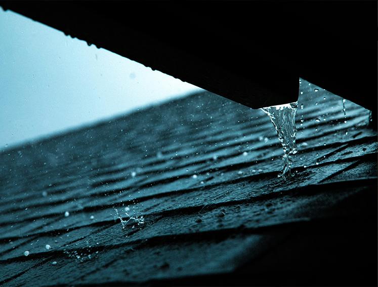 A garden outbuilding in the rain 