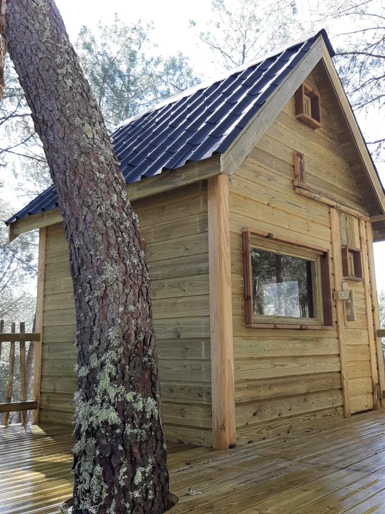Garden shed in winter