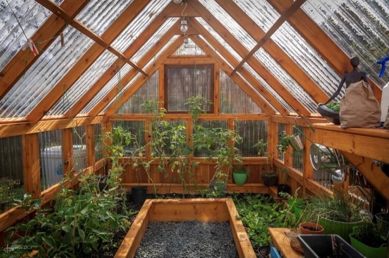 Interior of wooden greenhouse with Onduline roofing sheets
