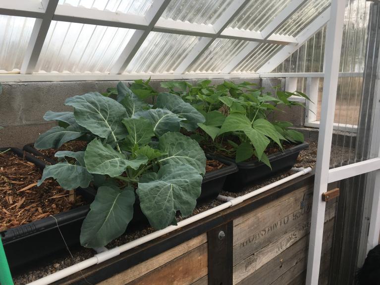 Onduclair greenhouse