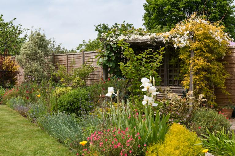 A garden filled with plants