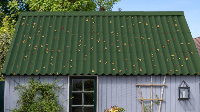 A garden shed
