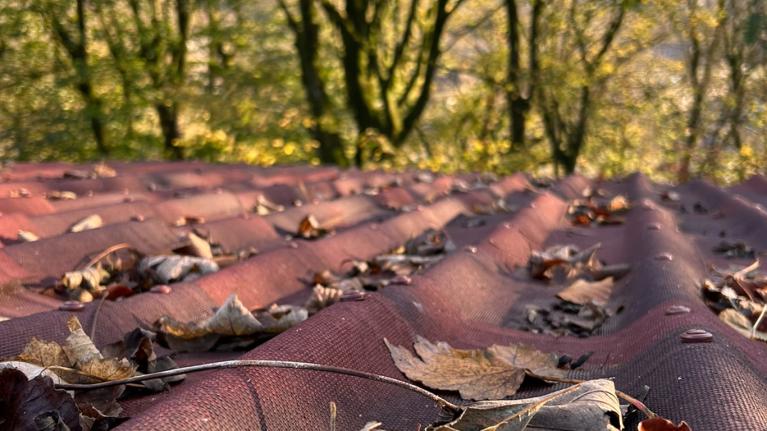 How to prepare your shed for autumn and winter