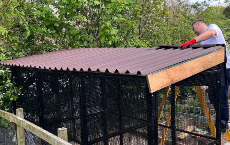 Onduline EASYFIX roof sheets